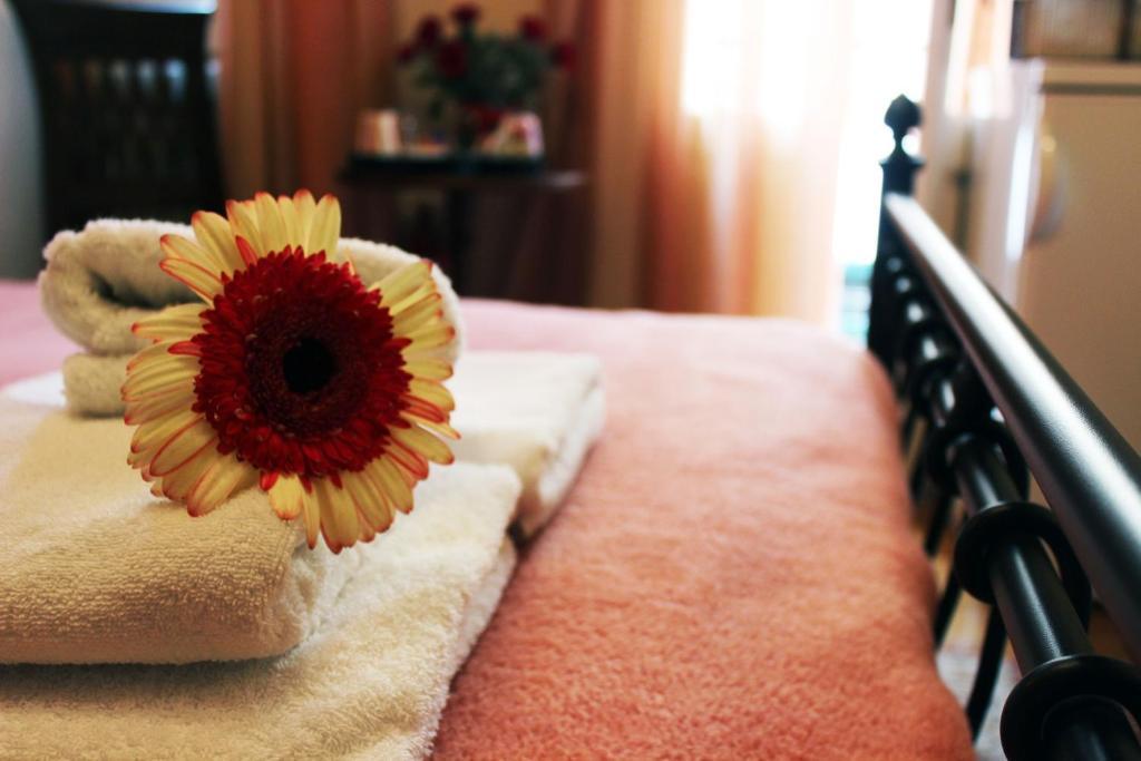 Filyra Pension Nafplion Rum bild